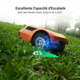 V2HDFED49F305428E2296D40E43BED40FAER6835048P5